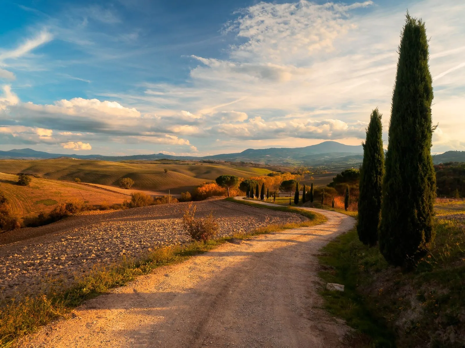 Strada bianca tra cipressi e colline arate in Val d'Orcia in autunno